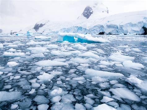 Record Hit for Most Ice to Melt in Antarctica in One Day, Data Suggests ...