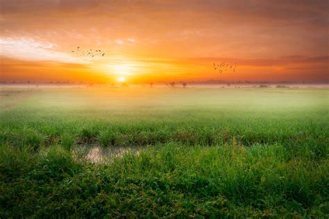 Grass Fog Sunrise Morning 4k Wallpaper,HD Nature Wallpapers,4k Wallpapers,Images,Backgrounds ...