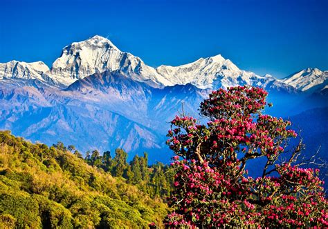 Nepal at Glance - Discover Himalayan Treks