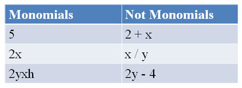 monomial - définition - What is