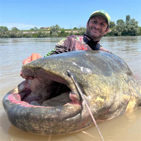 Fisherman catches 9-foot-long catfish in Italy