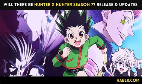 Will There Be Hunter x Hunter Season 7? Release & Updates