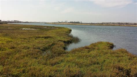 Bolsa Chica Wetlands - LA Trail Hikers