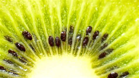 How To Grow Kiwi From Fruit? – Slick Garden