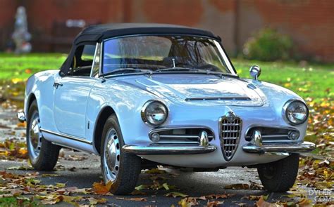 Classic 1966 Alfa Romeo Giulia Spider Convertible for Sale #9901 - Dyler