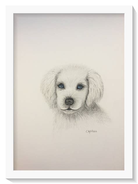 Drawings Of Cute Puppies