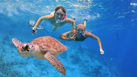 SeaCow Snorkeling Bonaire, Dutch Caribbean - YouTube