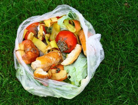 Is compostable packaging a load of rubbish? - Packer