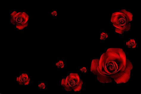 Red Rose Wallpaper For Pc - Infoupdate.org