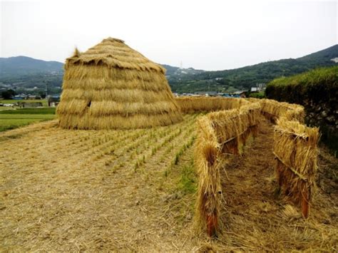 Straw Art