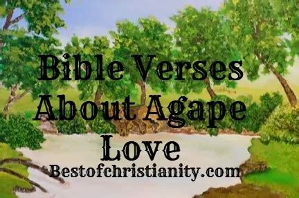 Bible Verses About Agape Love