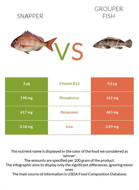 Snapper vs. Grouper fish — In-Depth Nutrition Comparison