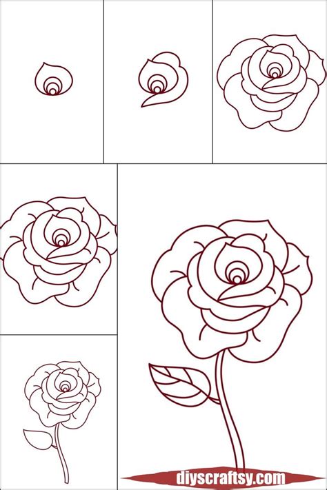 Beautiful Rose Drawing Tutorial | Roses drawing, Rose drawing, Flower ...