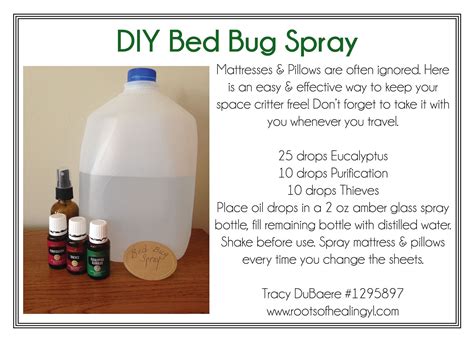 Diy Bed Bug Treatment | Examples and Forms