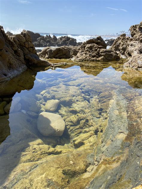 Tide pool at Little Corona del Mar Beach in Corona del Mar, Newport Beach California : r/beach