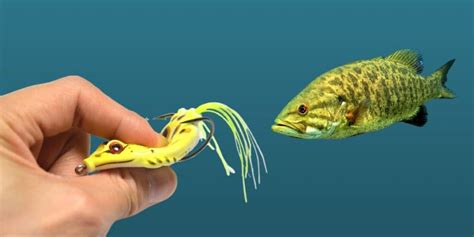 10 Best Smallmouth Bass Lures of 2022 - Tried and Tested