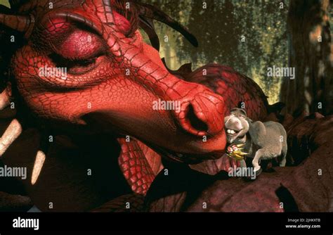 Donkey And Dragon Shrek