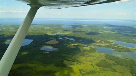 Free Images : landscape, sea, coast, tree, water, ocean, horizon, marsh ...