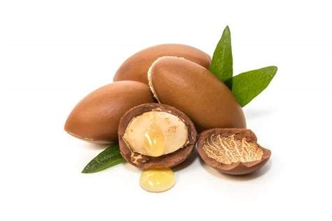 Argan Oil: Properties, Benefits And Origin