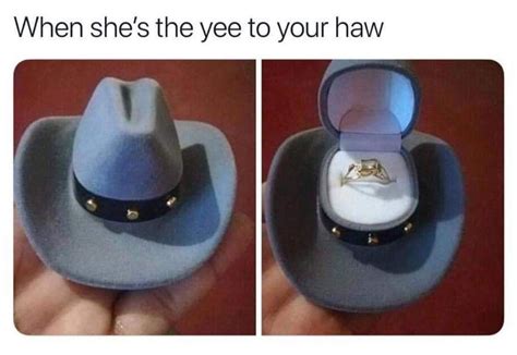 The best yeehaw memes :) Memedroid