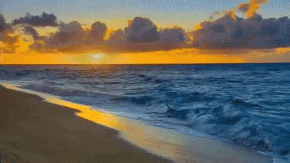 Hawaii Ocean Waves GIF - Beach Waves Sunset - Discover & Share GIFs