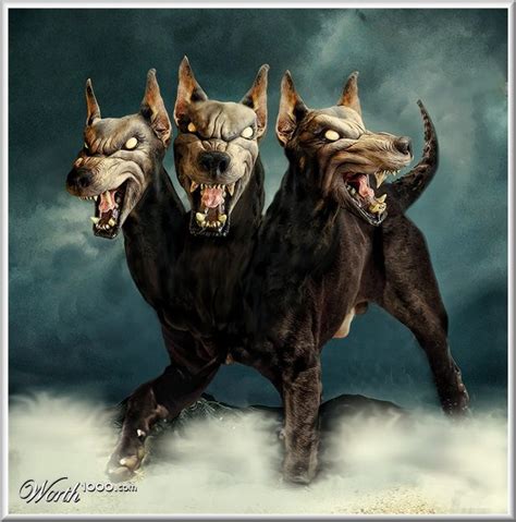 Cerberus Greek Mythology Images & Pictures - Becuo