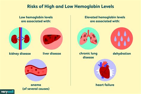 Hémoglobine : structure, fonction, niveaux anormaux