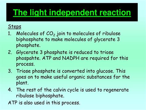 PPT - The light dependent reaction PowerPoint Presentation, free download - ID:2170291