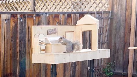 Engineer Builds an Action Film Inspired Backyard Obstacle Course For ...