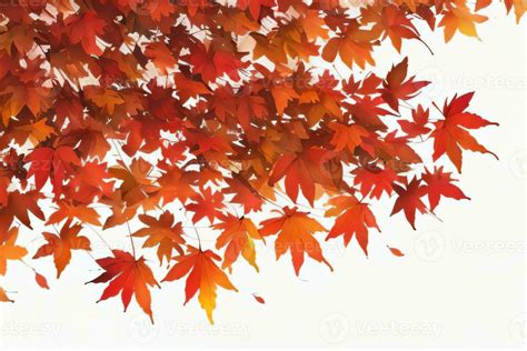 Background with Watercolor Fall Leaves 30009338 Stock Photo at Vecteezy