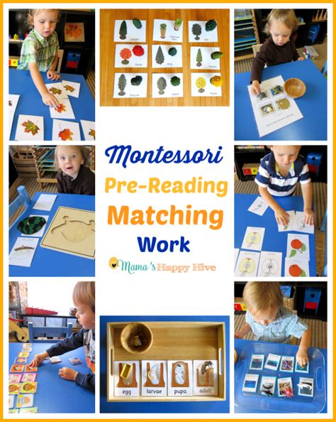 Montessori Pre-Reading Activities