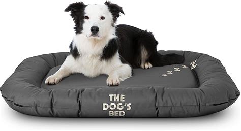 The 9 Best Chew Proof Dog Beds For Heavy Chewers