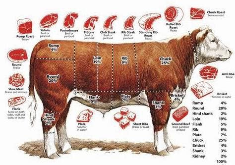 Beef Meat Processing Steps, Technology, Equipment and Beef Products