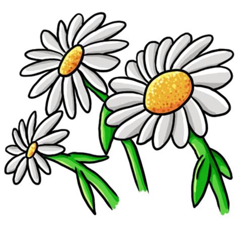 Daisy Flower Clip Art - ClipArt Best