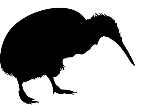 SVG > kiwi bird beak - Free SVG Image & Icon. | SVG Silh