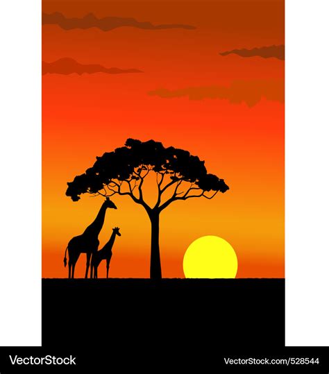 African sunset Royalty Free Vector Image - VectorStock