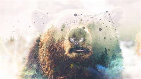 Grizzly Wallpapers - Wallpaper Cave