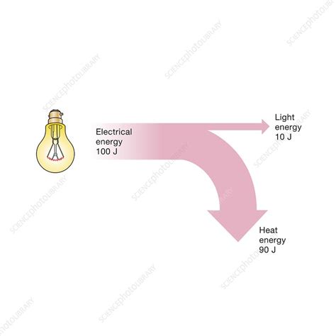 Incandescent light bulb efficiency, Sankey diagram - Stock Image - C050/7554 - Science Photo Library