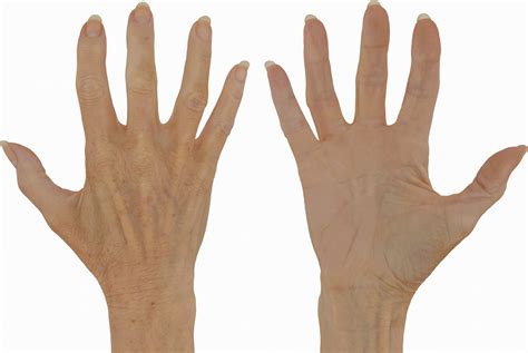 3 x Female 3D Hand Models / White 20/40/60 years old