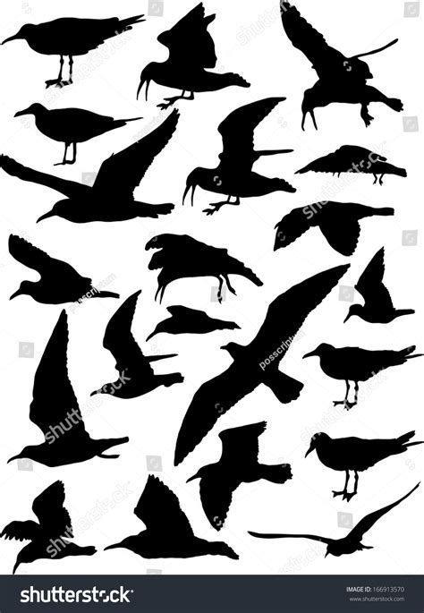 Vector Set Silhouettes 21 Flying Seagulls Stock Vector (Royalty Free) 166913570 | Shutterstock