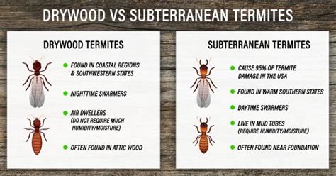 KNOW YOUR TERMITE SPECIES - Pest Control Jupiter | Termite Control Florida | Lawn Care 33469 ...