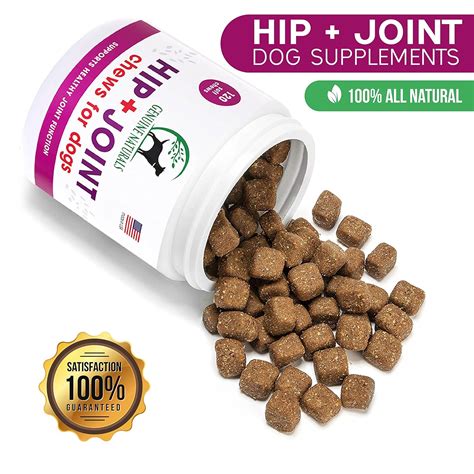 The Best Joint Supplements For Dogs 2018 [Read This Honest Review!]