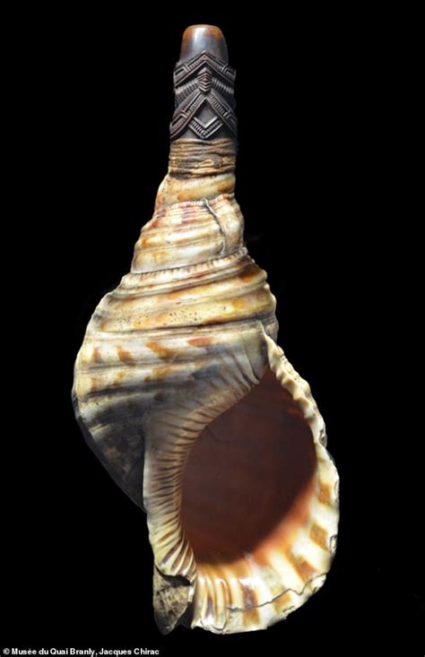 Earliest known conch shell horn plays a tune for the first time in ...