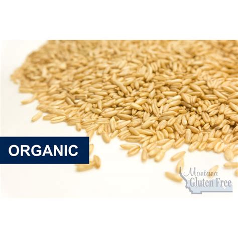 Organic Gluten Free Naked Oats – Montana Gluten Free