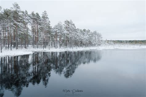 Winter in Estonia - Capture Estonia Nature and Photography Tours