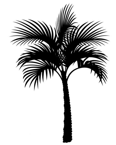 Palm Tree Silhouette Clipart Free Stock Photo - Public Domain Pictures