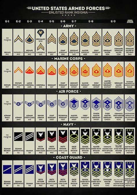 A guide to what enlisted rank insignia means : r/coolguides