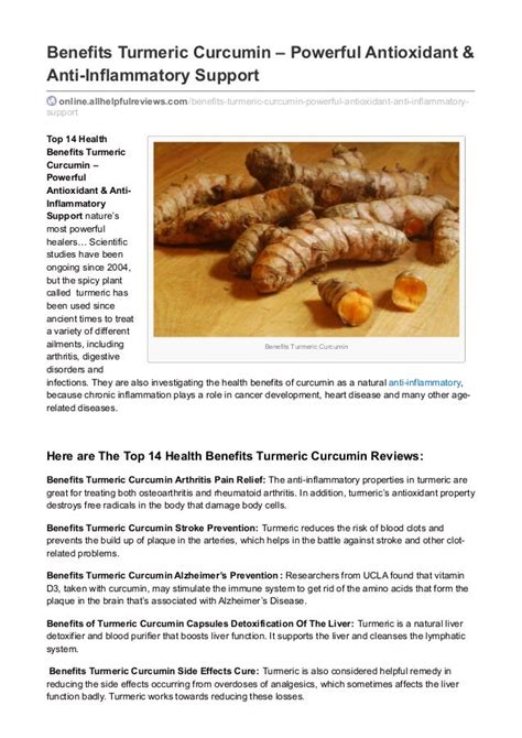 Curcuma Longa - 14 Health Benefits Turmeric Curcumin