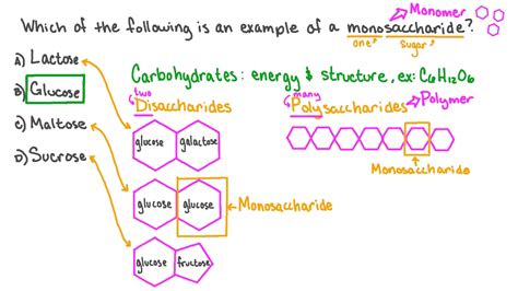 Structure Of Monosaccharides Disaccharides And Polysaccharides