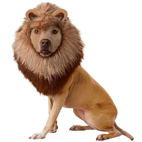 Lion Mane Dog Costume - The Green Head